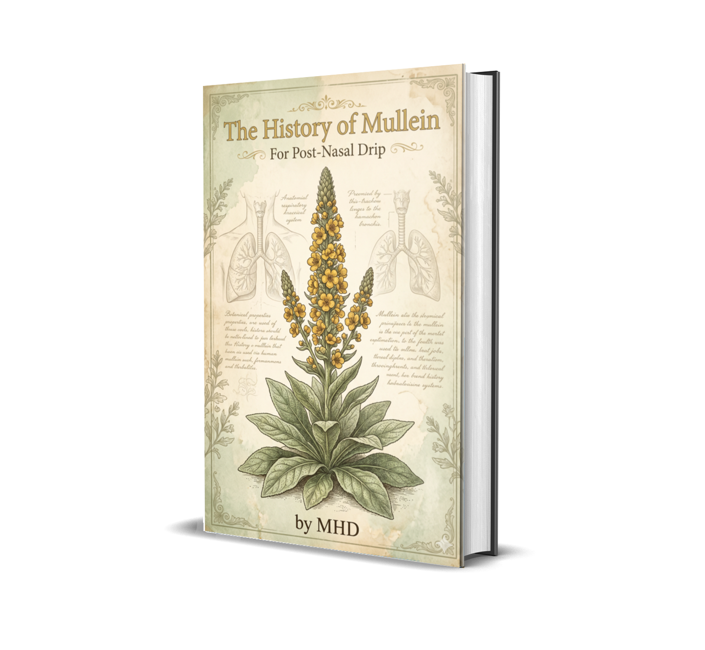 The History of Mullein For Phlegm - Free Ebook